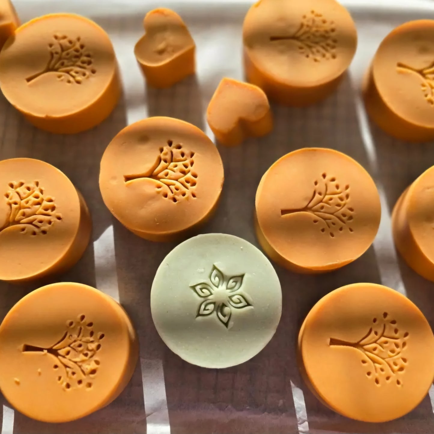 Turmeric & Carrot Seed oil