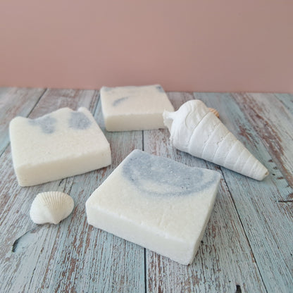 Beach Daze - Peppermint, Sea Salt & Aloe Vera